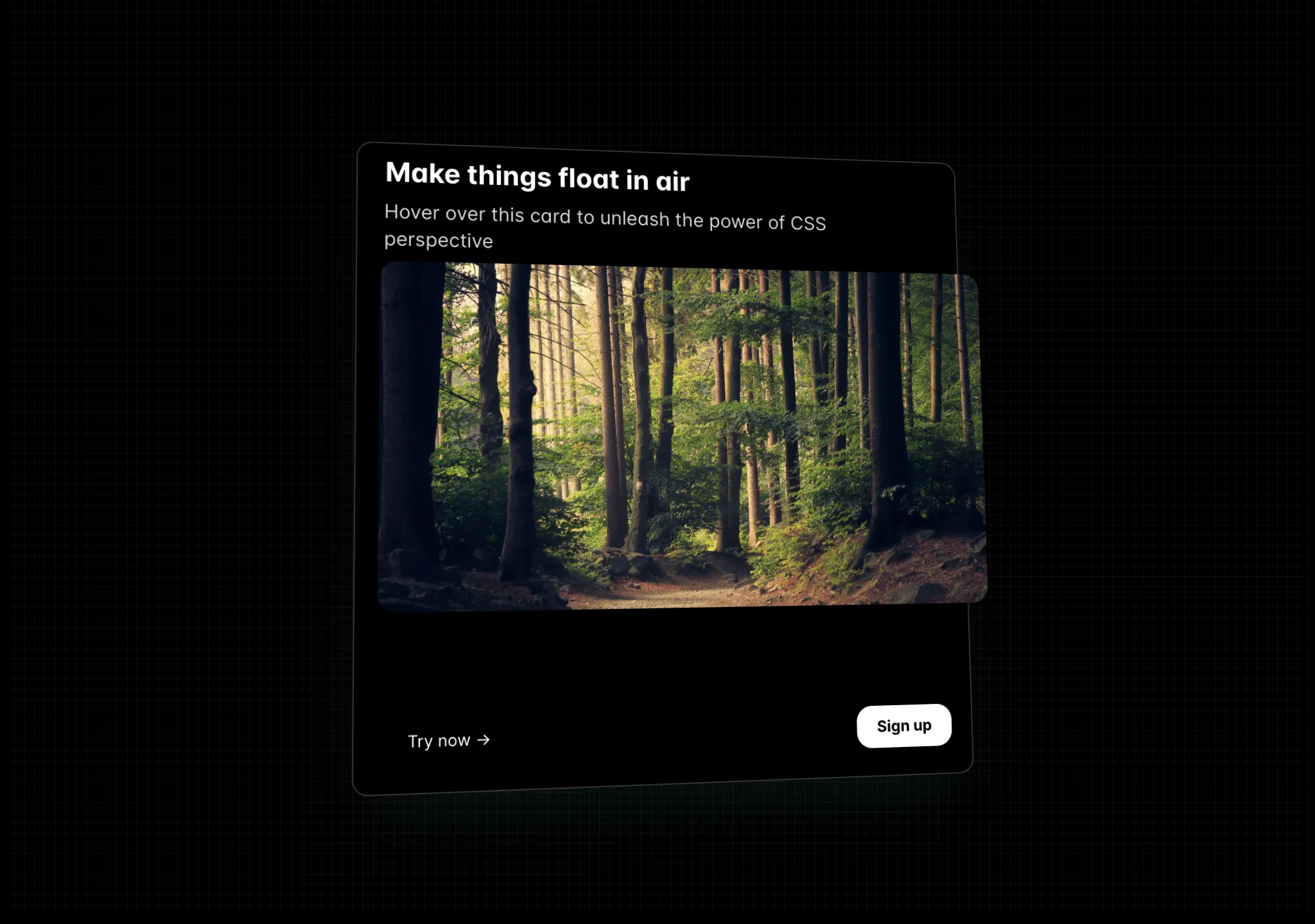 3D Card Effect