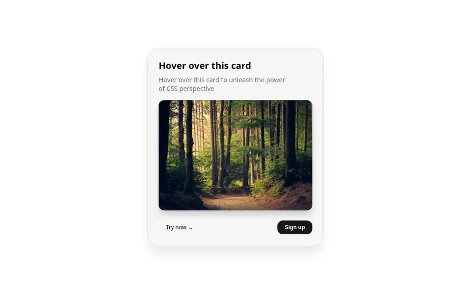 3D Card Effect