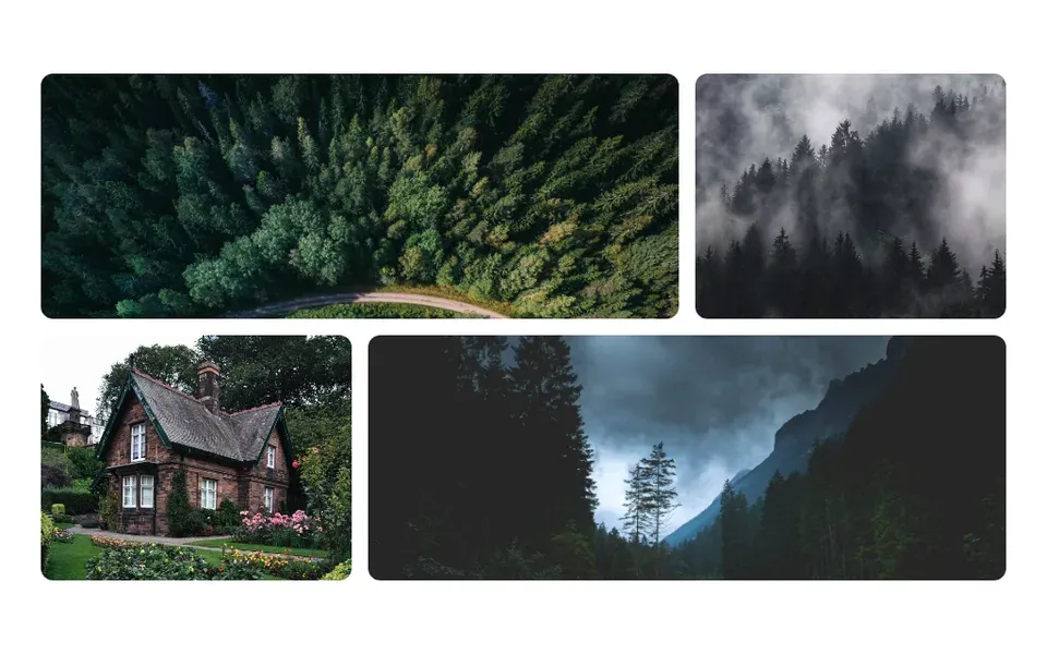 Layout Grid